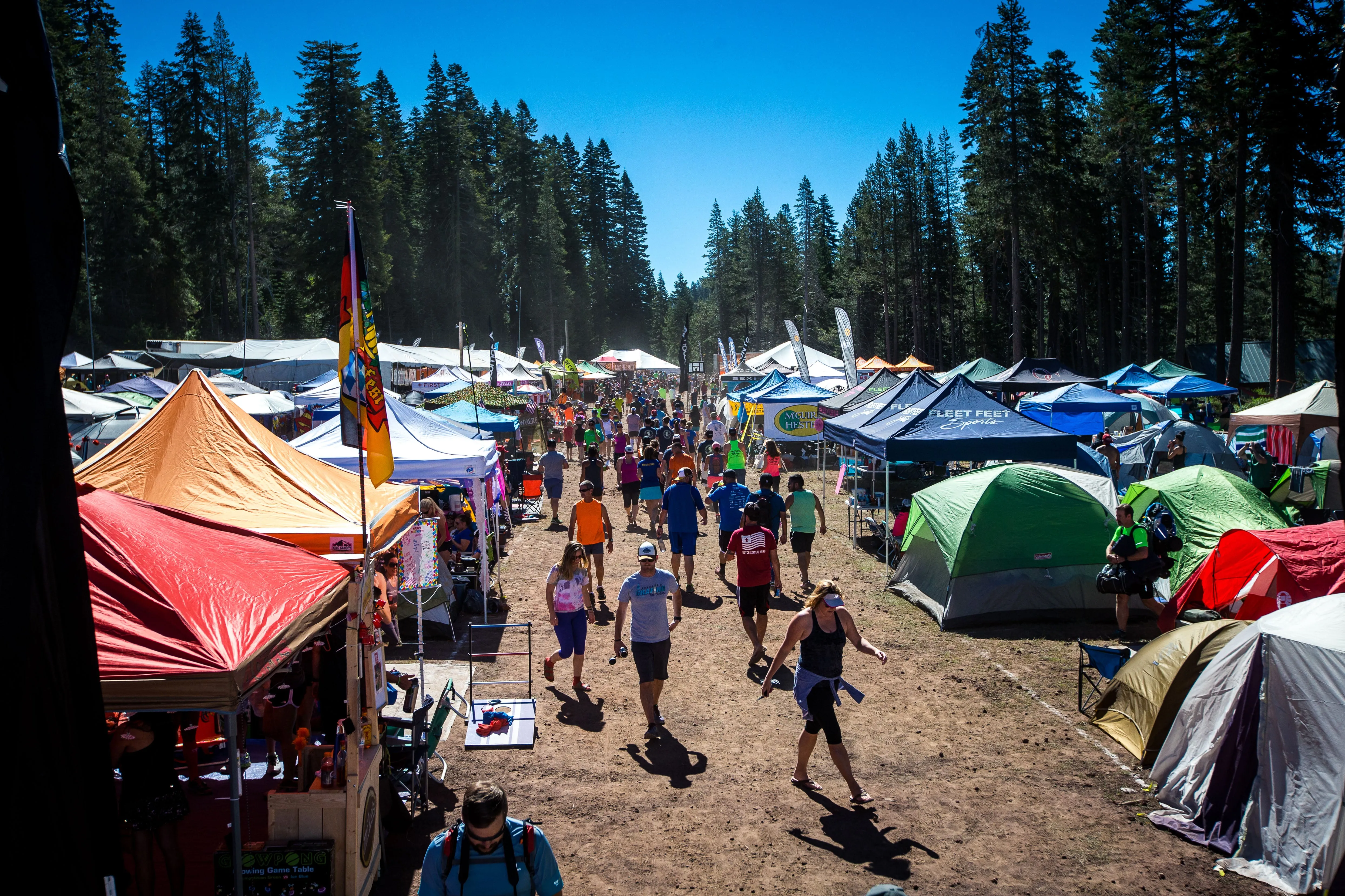 Festival Vibes