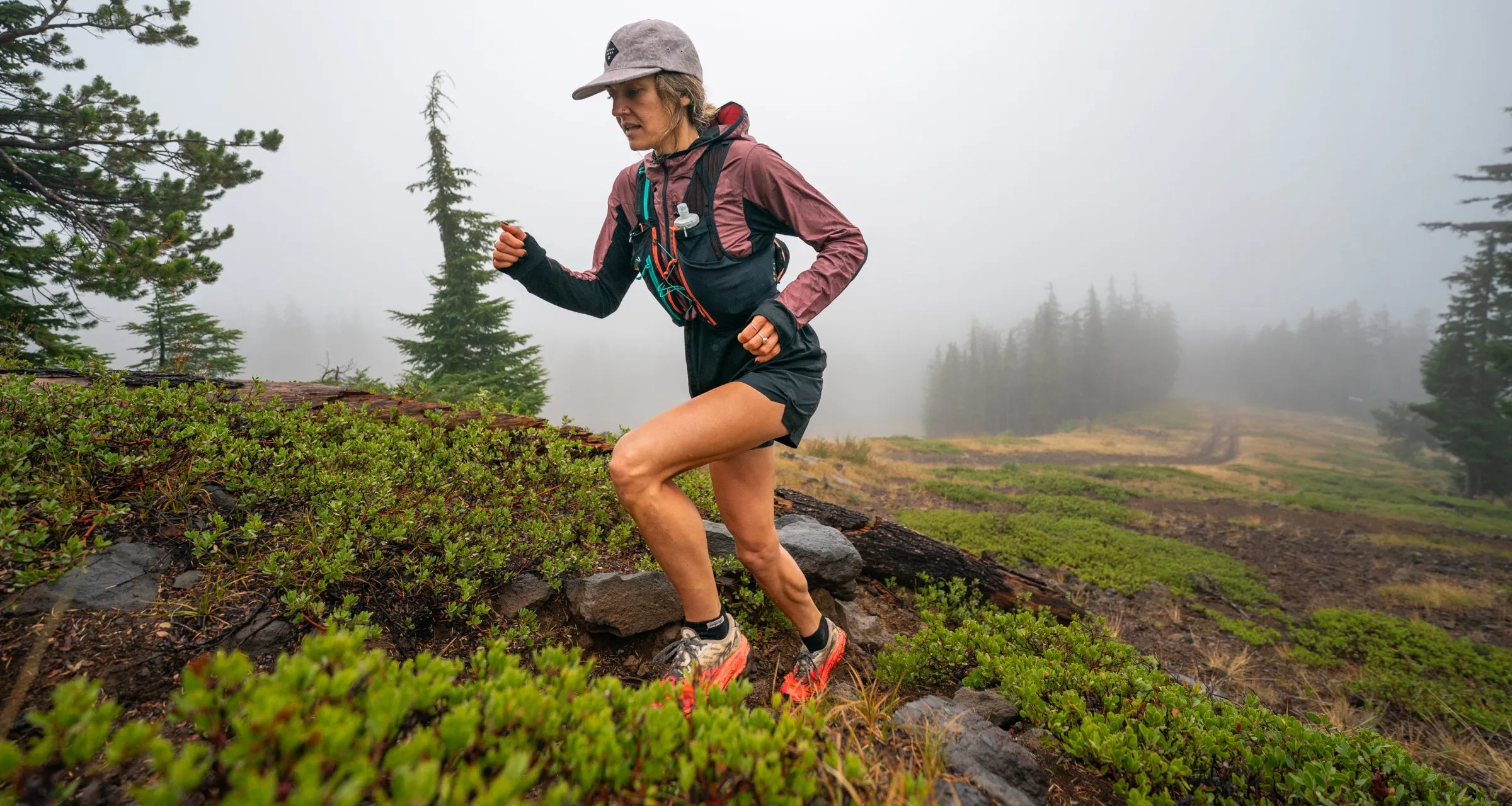 Trail South Cascades gallery image 7