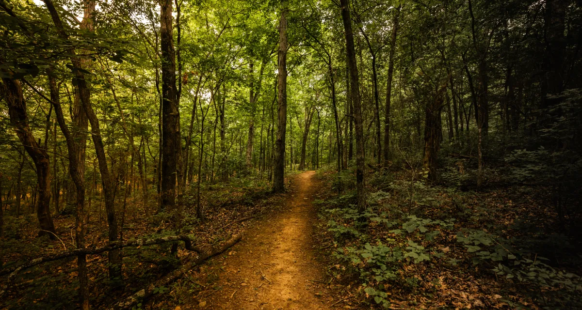 Trail Arkansas gallery image 2