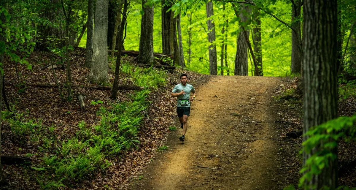 Trail Michigan gallery image 1