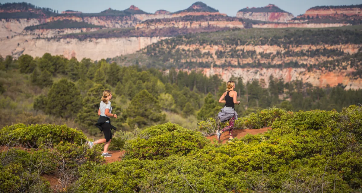 Trail Zion